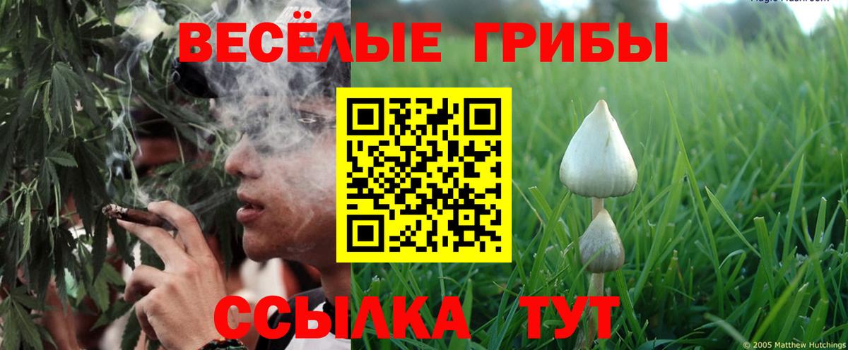 Белебей  Псилоцибиновые грибы Psilocybine cubensis  Вход с VPN  Псилоцибиновые грибы мухоморы 