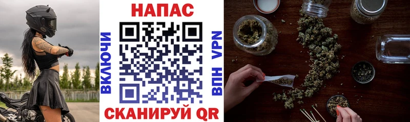 купить наркотики сайты  Белебей  Каннабис индика 